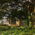 1.carrick_through_trees