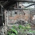 the_forge_-_development_images_2