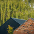 the_forge_-_external_view_1