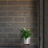 studiogray_palmbaystudio_10