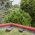 207dw_13_-_wild_roof_cguy_lockwood