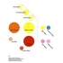 adjacency_diagram_copy