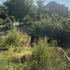 oeb-summerhillroad-greenroof