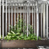 garden_studio_03