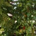 14_dsc04627_2mb