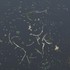 pause-sitw2019-3dscan-credit-welsh-school-of-architecture-students_1