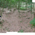 pause_panorama_photo_by_zoe_berman_1