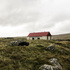 photo_1_distant_view