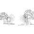 Sections Elevs-400b North South Elevation A1
