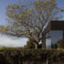 Chartley Lodge by AOC Architecture