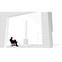 Design Development 
