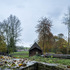 View from the Woodland
