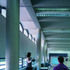 The clerestory at ceiling level allows high-level natural ventilation