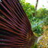 It is an organic extension of the garden and the woven edging to the paths from which it springs