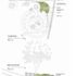 Shed plan and elevation