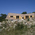 Vernacular materials and elements create a pragmatic aesthetic particular to place