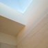 Bathroom skylight