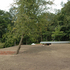 View of library from main house
