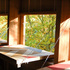 Shutter openings for bird-watching