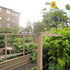 Vacant Lot no.19:Sandford Court
