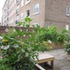 Vacant Lot no.19:Sandford Court