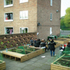 Vacant Lot no.19-Sandford Court.jpg