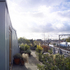 Extension and roof garden