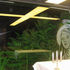 Image of Mary etched into glass panel. Overhead, a glazed cross integrates lighting