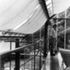 Architect 