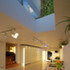 View of kitchen and roof ligh