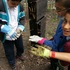 Planting Day- bugs