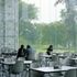 Visitors enjoy a meal in the brightly lit dining area with views overlooking the grounds