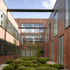 Courtyard Garden