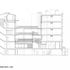 Longitudinal Section