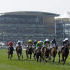 View of the building and racecourse