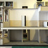1:10 Developmental Model