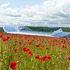 The Amex Community Stadium Poppies