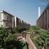 Battersea Power Station : Roof Gardens