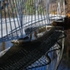 0WSHSGM76Y8DP45_6_SwingBridgeC9A4778JamesBalston