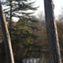 0WSHSGM76Y8DP45_3_SwingBridge_C9A3384JamesBalston