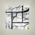 VW6FOC77WEIU1I1_10_Pinwheel_Glass_Roof_