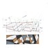 VW6FOC77WEIU1I1_3_Dazzle_Pattern_Template