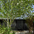 IZFLXKG7D3YOXTH_NGUT-1577-GavinLangford-July_2021-019