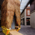9DLYYQP7U6WD632_Feelings_Library_Exterior_1