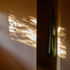 733LTBPR1I2XU9G_Almond_Daab_Design___Henry_Woide_Contact_Sheet025