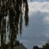 Distant view of the shadow gable and wildflower roof taken from the public realm