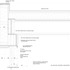 Sliding door header and parapet