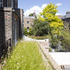 Wildflower roof