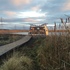 RSPB