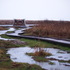 Newly formed freshwater pools are ranged alongside a new boardwalk that provides access to the screen. Clay extraction originally created a suite of artificial freshwater and brackish pools that are becoming rich in wildlife. 